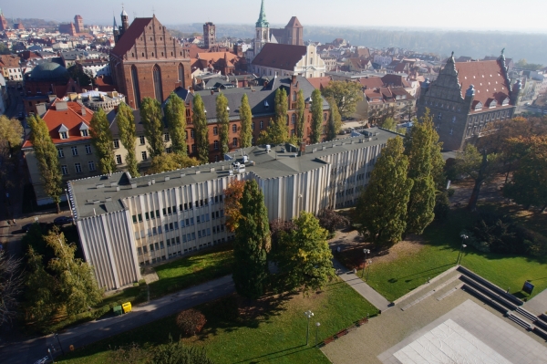 Harmonijka i toruńska starówka