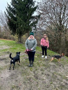 Studenci razem dla czworonogów. Kliknij, aby powiększyć zdjęcie.