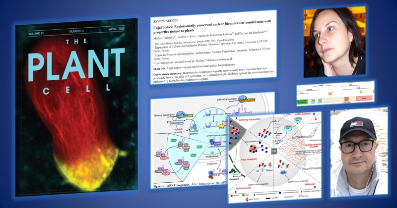 The Plant Cell