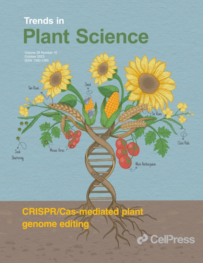 Okładka Trends in Plant Science, ze stylizowanym słonecznikiem, którego łodygą jest DNA