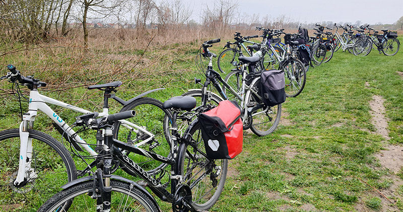 na zdjęciu kilka rowerów na leśnej ścieżce